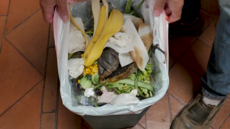  Houston, PA Junk Removal Services Pros